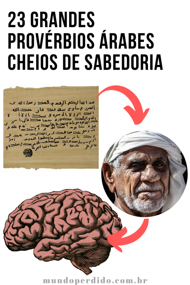 ᐈ 23 Grandes Provérbios Árabes Cheios De Sabedoria