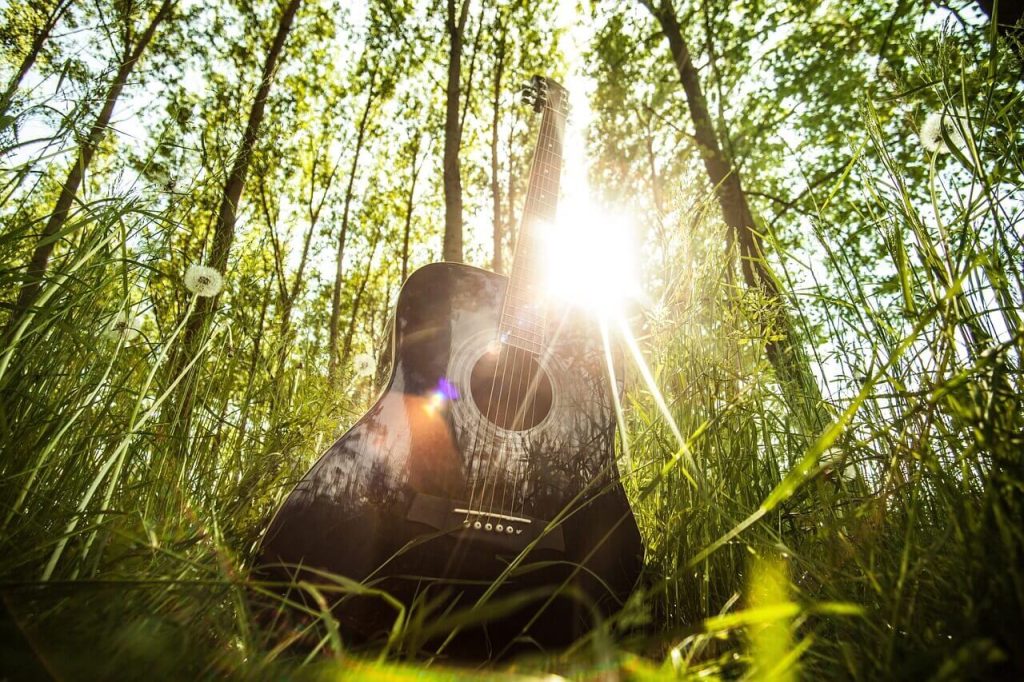 violão no meio da floresta