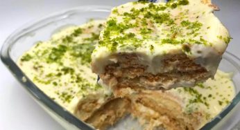 Aprenda a Fazer Uma Deliciosa Sobremesa Gelada De Limão e Biscoito Em 5 Minutos e Sem Levar Ao Forno!