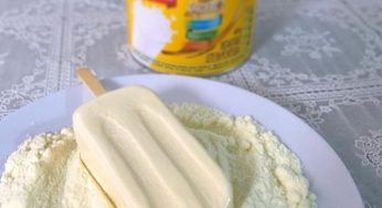 Picolé de leite ninho super fácil e rápido de fazer. Apenas 4 ingredientes que todo mundo tem em casa.