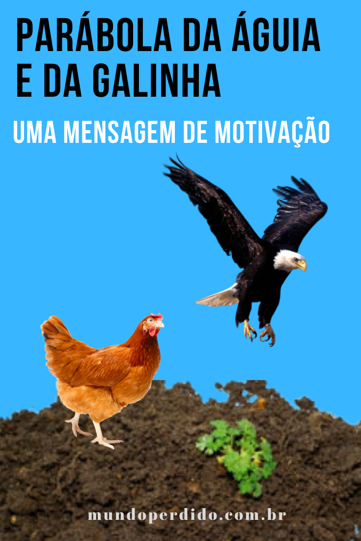 You are currently viewing Parábola da Águia e da Galinha – Uma Mensagem De Motivação