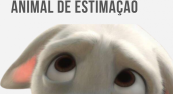 8 Filmes sobre cães que farão você amar ainda mais seu animal de estimação