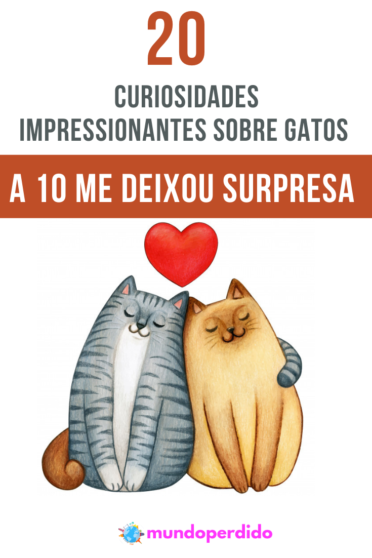 Read more about the article 20 Curiosidades impressionantes sobre gatos (A 10 me deixou surpresa)