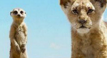 8 Coisas que aprendemos com a Disney que mudaram a maneira como vemos a vida