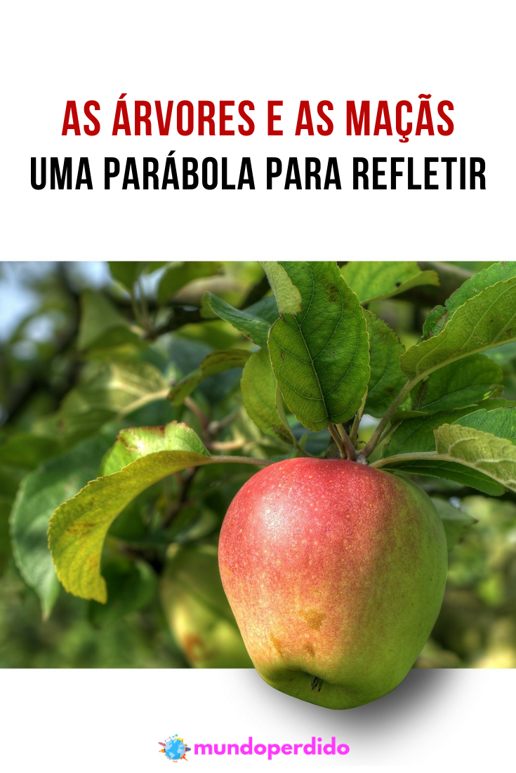 Read more about the article As Árvores e As Maçãs – Uma Parábola Para Refletir