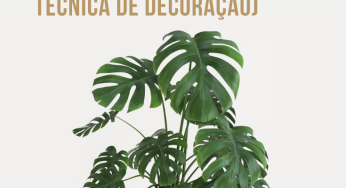 Quais plantas devemos ter de acordo com o feng shui? (Mais dicas sobre esta técnica de decoração)