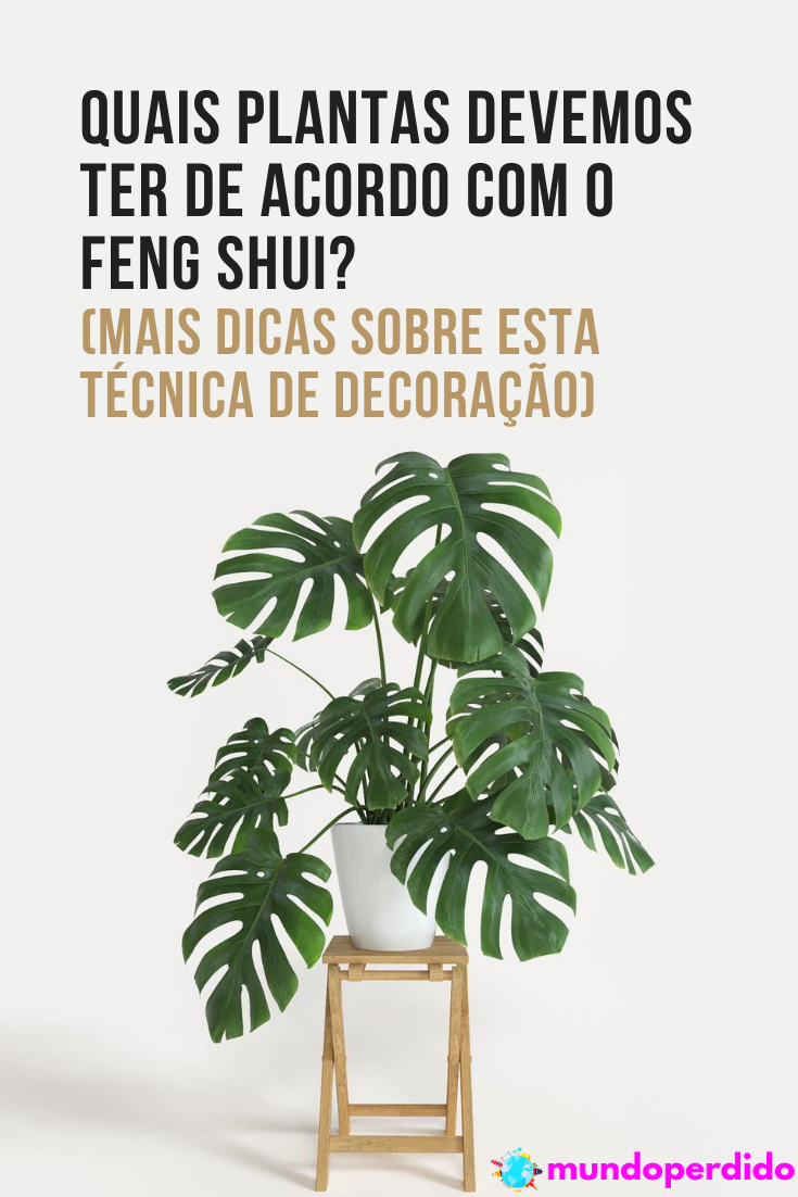Read more about the article Quais plantas devemos ter de acordo com o feng shui? (Mais dicas sobre esta técnica de decoração)