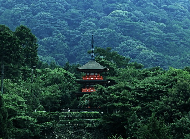 templo budista em meio a floresta