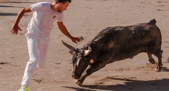 Sonhar Com Vaca Correndo – Significados Reveladores