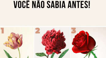 Escolha uma flor e aprenda tudo sobre sua personalidade que você não sabia antes!
