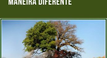 Parábola dos 4 meninos – Uma lição que vai te fazer enxergar as pessoas de maneira diferente