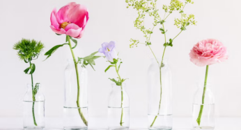 6 flores que podem melhorar sua saúde mental